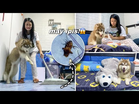 Blossom’s First Night Out Of Her Cage! | NANGHULI NA NAMAN NG IPIS! | Sai Datinguinoo