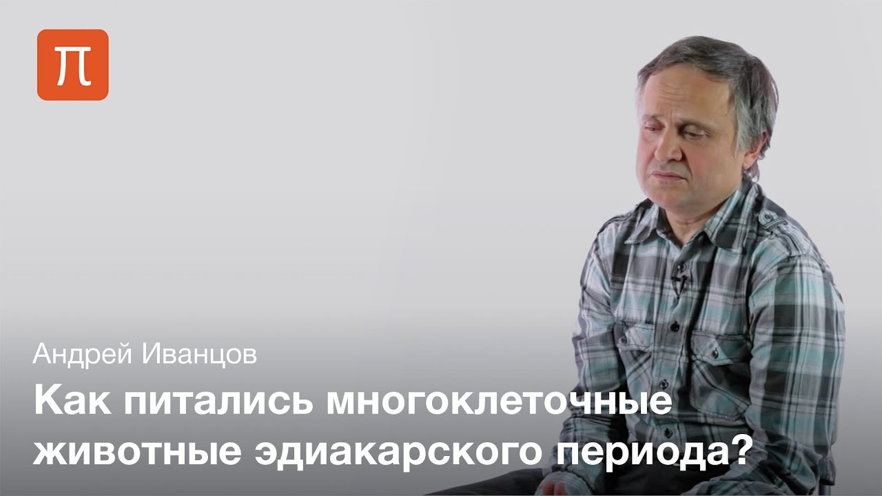Древнейшие многоклеточные животные - Андрей Иванцов