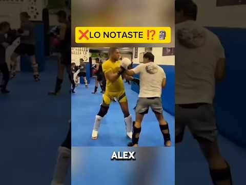 LA PEGADA DE ALEX ES BRUTAL🥊 #kickboxing #mma #peleadebox #ufc #kickboxer #striking #sparring #box