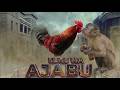 KUKU WA AJABU EP 14