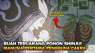 ASAL MULA CAKRA DARI POHON KEHIDUPAN | BERBUAH SETIAP 1000 TAHUN! #75