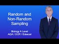 Sampling Techniques and Bias Understanding