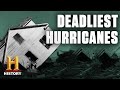 Hurricanes: Impact and Consequences