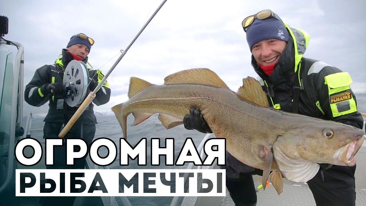 Как ловить ТОЛЬКО БОЛЬШУЮ рыбу! Я больше не хочу ловить.