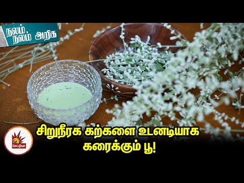 சிறுநீரக கற்களை உடனடியாக கரைக்கும் பூ!- சித்த மருத்துவம் | Nalam Nalam Ariga | Kidney Stones