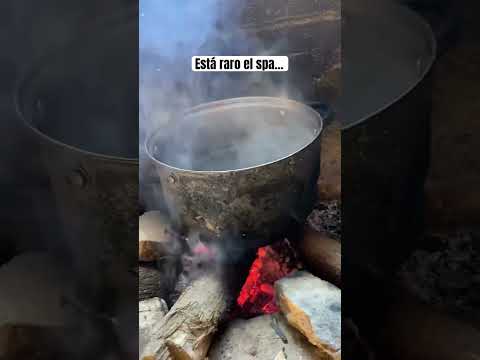 Está muy raro el spa… #humor #doblaje #animals #spa