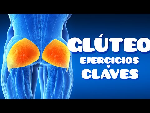 GLÚTEOS: LOS 3 MEJORES EJERCICIOS Y CLAVES PARA ENTRENARLOS