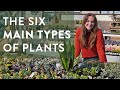 Characteristics of Perennials and Annuals