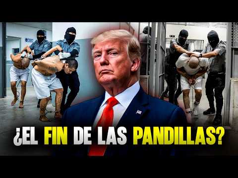 Así es la MEGA ALIANZA de BUKELE con TRUMP para ELIMINAR al TREN DE ARAGUA en EE.UU