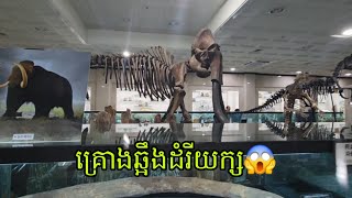 សារមន្ទីរធំនៅប្រទេសកូរ៉េ