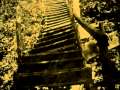 Narrator's Journey with Escaped Slaves