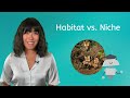Ecosystem Roles and Organism Niches