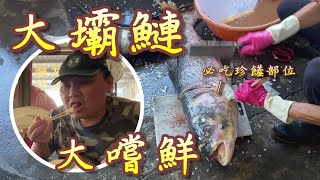 【大啖水庫魚】帶上了曾文水庫的魚貨，後續怎麼處理與料理呢，由阿坤繼續娓娓道來。