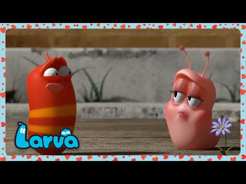 Rojos Nuevo San Valentin | LARVA | Wildbrain Niños