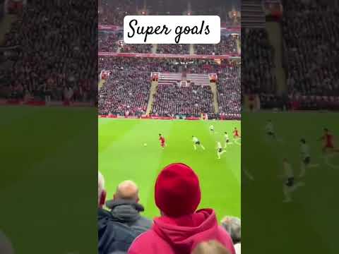 هدف صلاح في السيتي اسيست اليسون تصوير المدرجات #super_goals