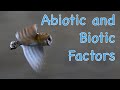 Abiotic and Biotic Factors in Ecosystems