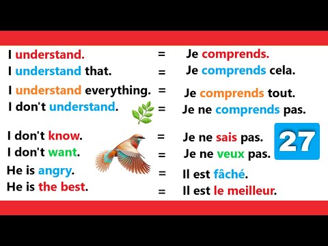 Phrases simples pour apprendre l'anglais facilement |✪✪easy sentences to learn french 🌿