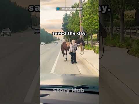 Woman Reunites Loose Horse with Owner #horse #horselover #horses #horseshorts
