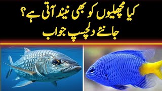 Kia machlion ko bhi neend aati hai | information about fish | Information
