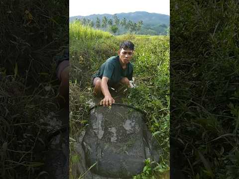 Terinjak ikan besar part 2