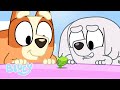 Kids' Encounter with Bugs