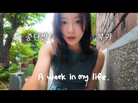 [VLOG] 일상 브이로그 | 다시 돌아온 중단발의 늪 💦 👩🏻 | 서울 맛집 투어 (카덴, 꽁티드툴레아) | 양배추 추추가 엽떡 밀키트 | 카페 출근룩스