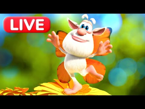 🔴لايف — بوبا يطير مثل الفراشة... تقريبًا! 😆🦋 رسوم متحركة للأطفال