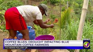 YouTube video thumbnail: Coffee Blues: Drought Impacting Blue Mountain Coffee Farmers