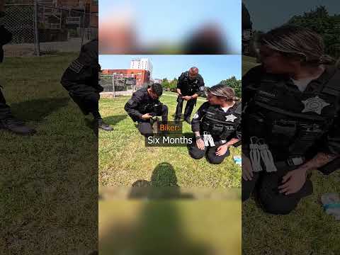 Raccoon Mets Police ๐ฑ Credit @brian636