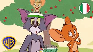 Insegna a Tom a contare! 😸✏️ | Impara con Tom e Jerry