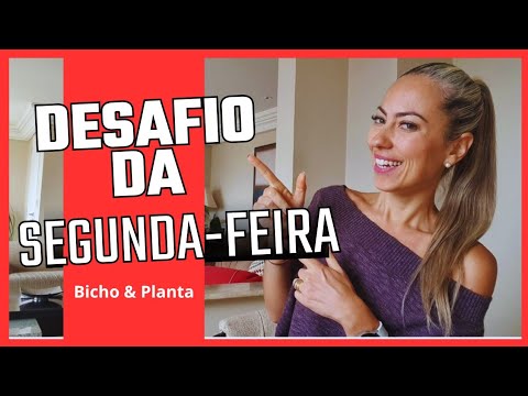 DESAFIO: BICHO & PLANTA.