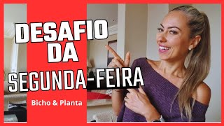 DESAFIO: BICHO & PLANTA.