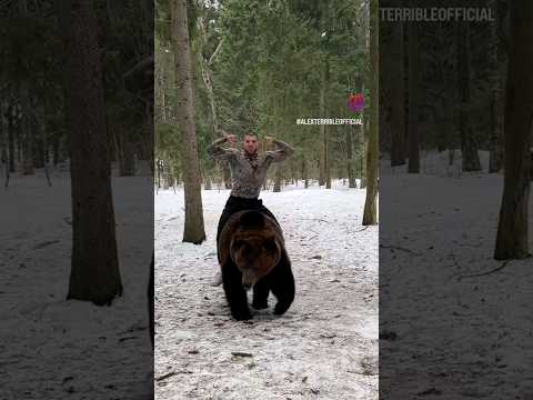 ALEX TERRIBLE RIDE & WRESTLES THE BEAR TOM 🐻 @pavelvyakin #AlexTerrible @AlexTerrible