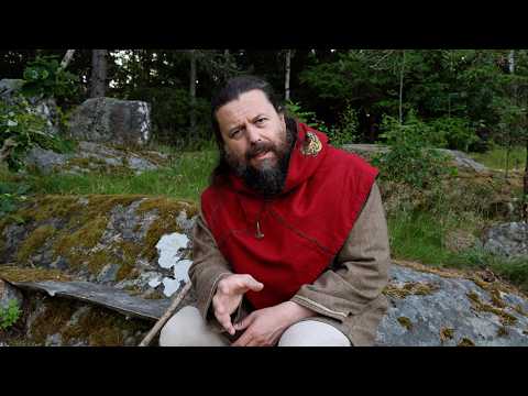 The SHOCKING Reason the VIKING Raids Started