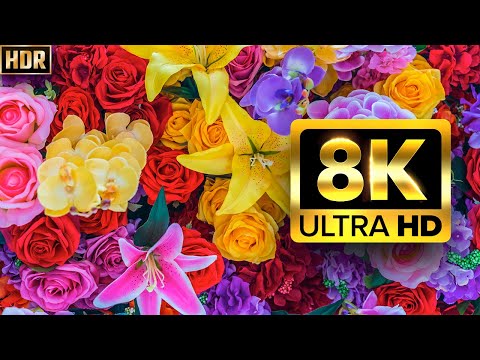 The Largest Flower Collection in the World 8K HDR 60FPS DEMO