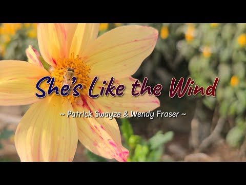 SHE’S LIKE THE WIND – (Karaoke Version) – in the style of Patrick Swayze & Wendy Fraser