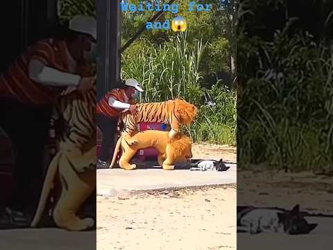 Lion toy dog prank waiting for and😱 sleeping 🐶 dog #dogprank #pranks #funny #doglover #tiger#sorts