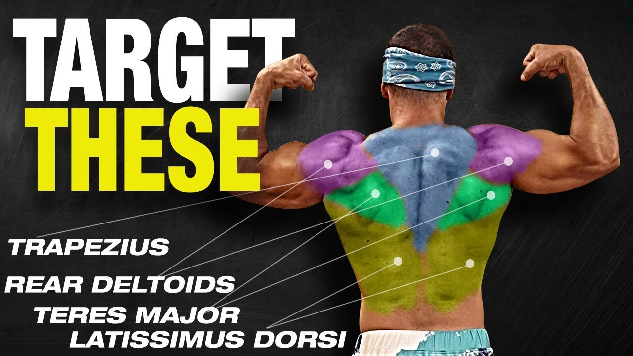 The ONLY 3 Back Exercises You Need for Mass