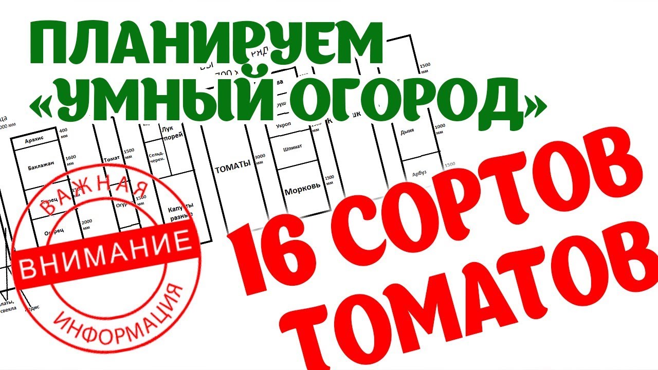 Планируем Умный огород 2018. 16 сортов томатов, грядка митлайдера