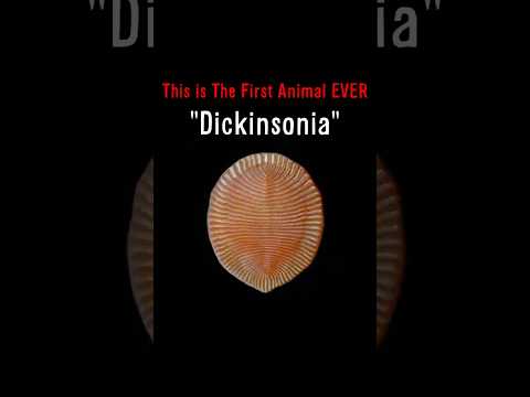 The First Animal EVER ๐จ