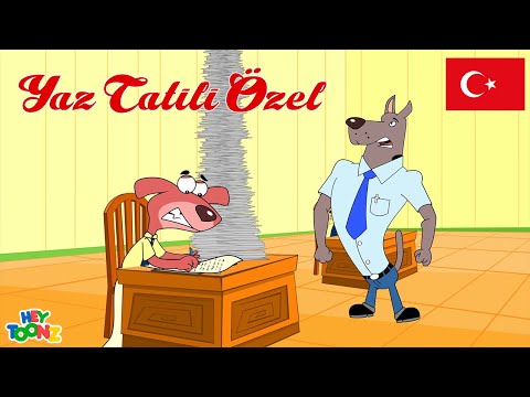 Ta-ta-ta-taaam 💥Don’un Sınav Panik Hali! Bu Testten Sağ Çıkabilecek mi?! |  Çocuk Çizgi Filmleri