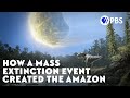 Amazon Rainforest Ecosystem Changes