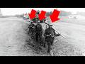The Blue Division in WWII