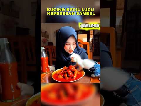 KUCING KECIL LUCU KEPEDESAN SAMBEL #kucingkecillucu #animasi #ai #feedshorts