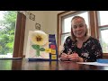 Sunflower Growth and Care Concepts