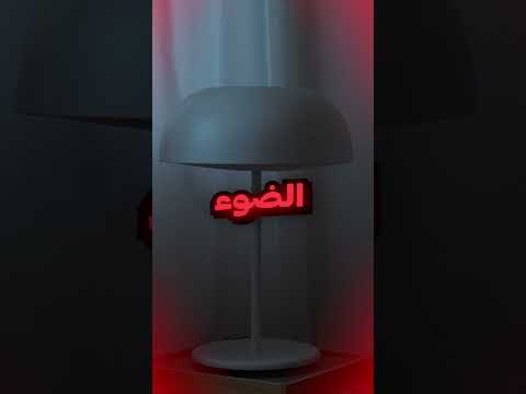 بيستغل القطط 😂