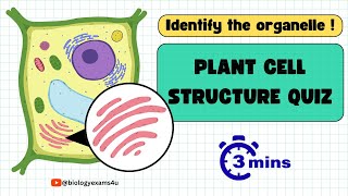 Plant Cell Structure Quiz|| Identify The Organelle in 3 seconds!