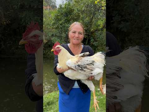 El mejor remedio para salvar tus gallinas 🐥
