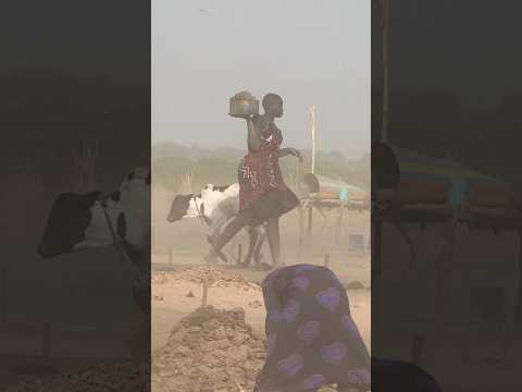 Vida dedicada al ganado de los Mundari. Sudán del Sur. #inspirationofafrica