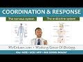 Human Body Systems and Homeostasis